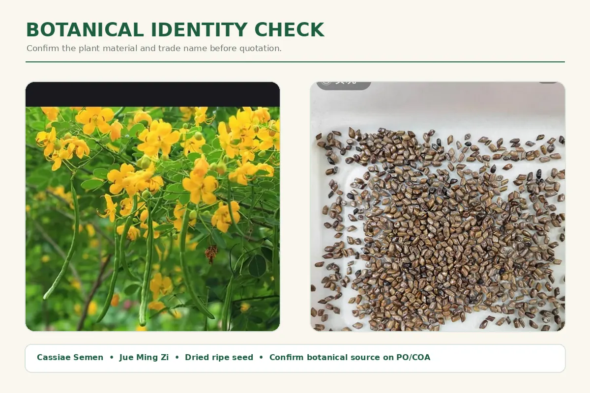 1. Confirm Botanical Identity and Trade Name
