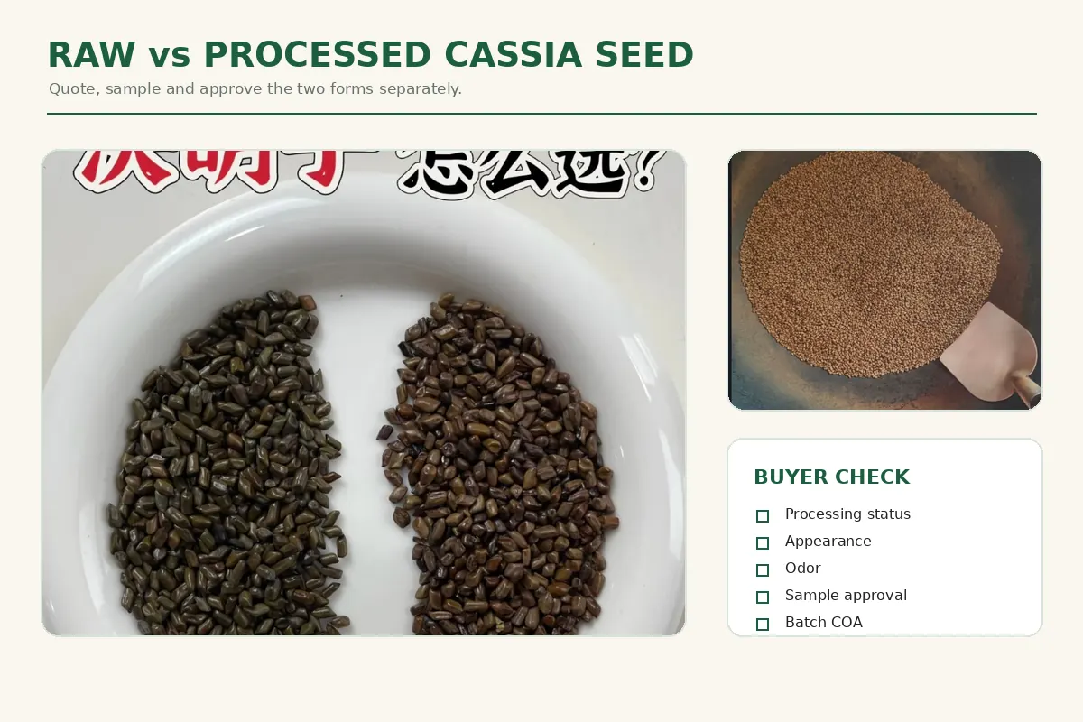Raw and processed Cassia Seed Jue Ming Zi compared for B2B purchase specification