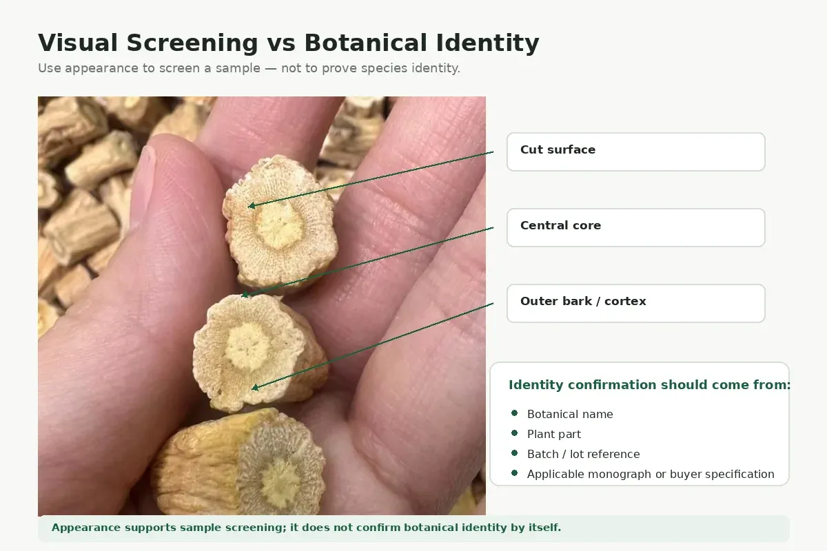 Codonopsis root slices with botanical identity and batch specification documents