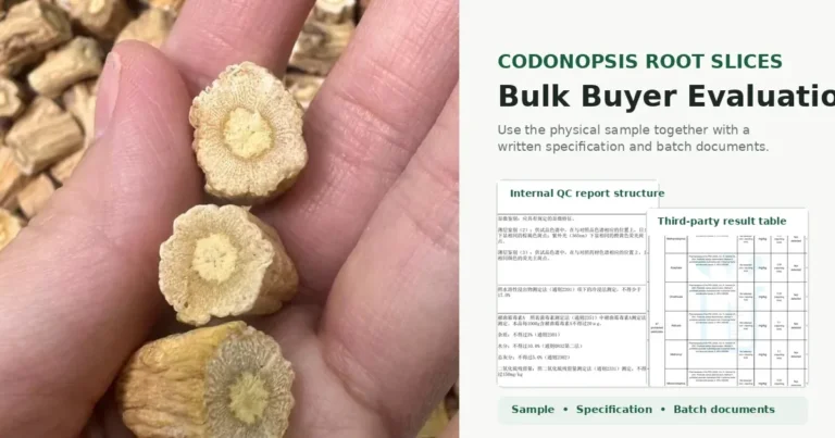 Codonopsis Dang Shen root slices arranged for bulk quality evaluation
