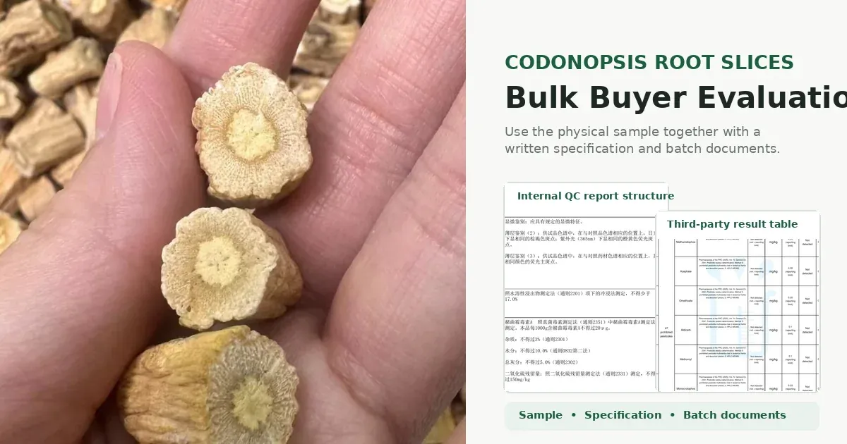 Codonopsis Dang Shen root slices arranged for bulk quality evaluation
