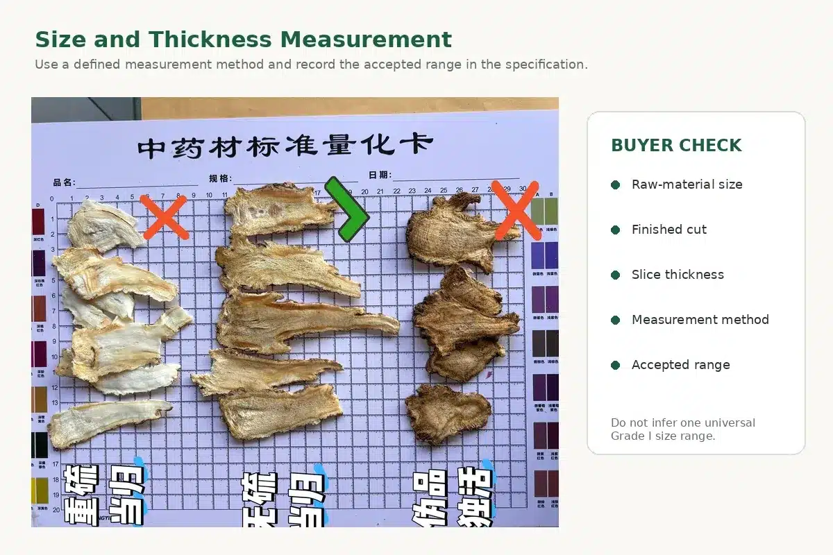 Caliper and ruler measuring the size and thickness of Chinese herbal slices