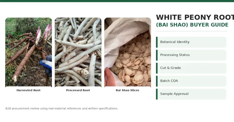 White Peony Root Bai Shao whole root and slices prepared for bulk buyer specification review