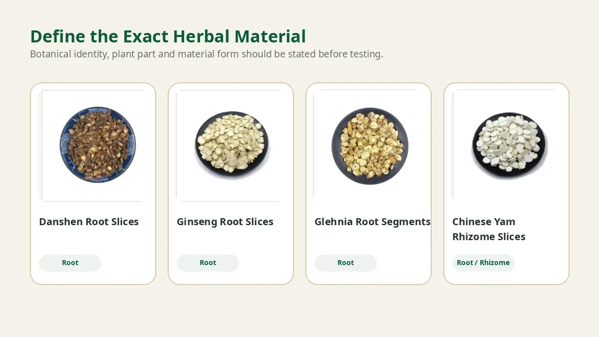 cross-section slices of a dried Chinese herbal root used to confirm botanical identity and plant part