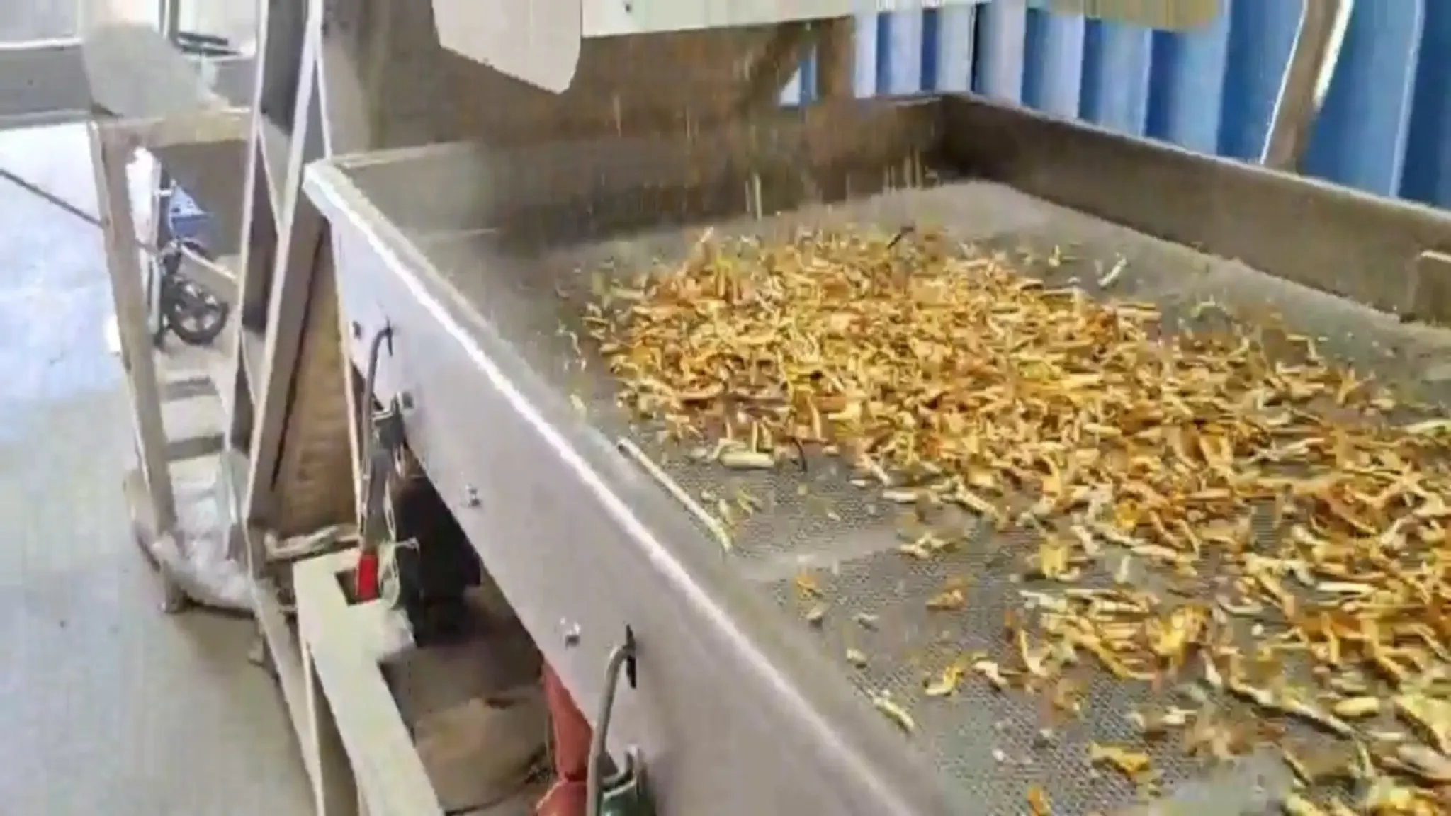 Cut herb pieces on a vibrating sieve conveyor during Chinese herb processing